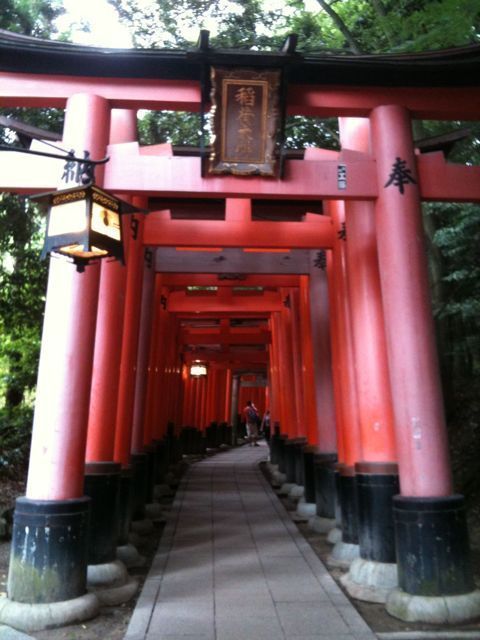 Fushimi-Inari taisha (shrine)