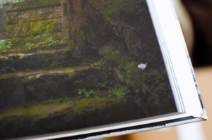 a blurb on my blurb :(